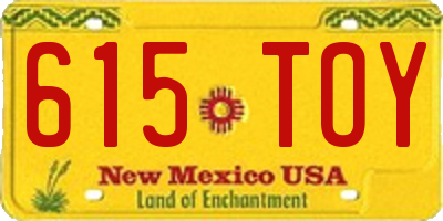 NM license plate 615TOY