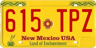 NM license plate 615TPZ
