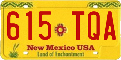 NM license plate 615TQA
