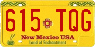 NM license plate 615TQG