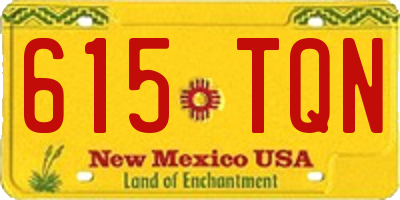 NM license plate 615TQN