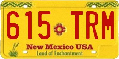 NM license plate 615TRM