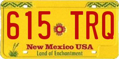 NM license plate 615TRQ
