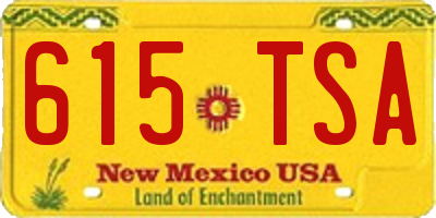 NM license plate 615TSA