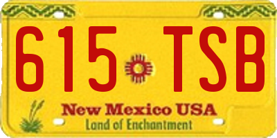 NM license plate 615TSB