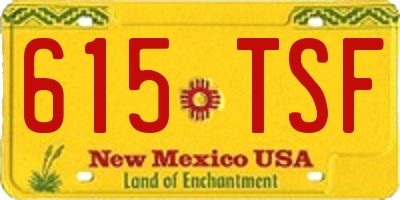 NM license plate 615TSF