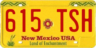 NM license plate 615TSH