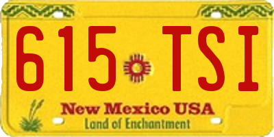 NM license plate 615TSI
