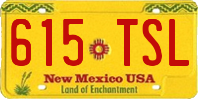 NM license plate 615TSL