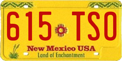 NM license plate 615TSO