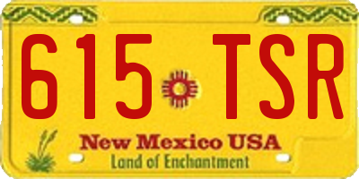 NM license plate 615TSR