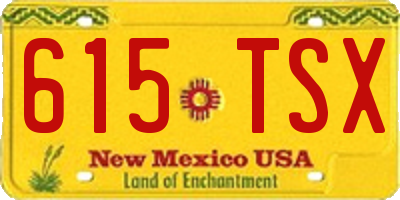 NM license plate 615TSX