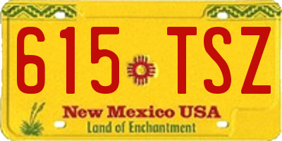 NM license plate 615TSZ