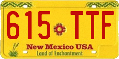 NM license plate 615TTF