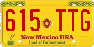 NM license plate 615TTG