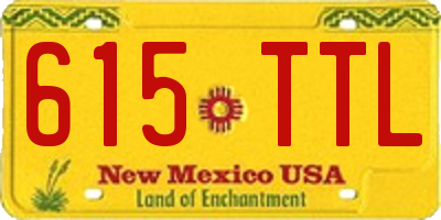 NM license plate 615TTL