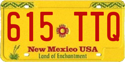 NM license plate 615TTQ