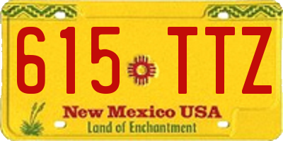 NM license plate 615TTZ