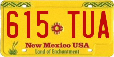 NM license plate 615TUA