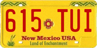 NM license plate 615TUI