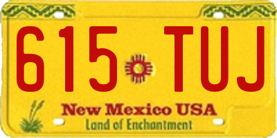 NM license plate 615TUJ
