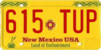 NM license plate 615TUP