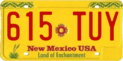 NM license plate 615TUY