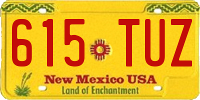 NM license plate 615TUZ