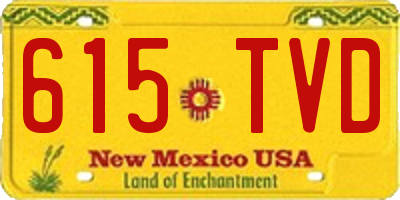 NM license plate 615TVD