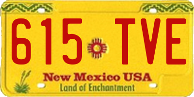 NM license plate 615TVE
