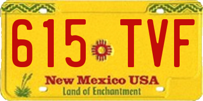 NM license plate 615TVF