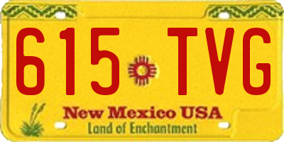 NM license plate 615TVG