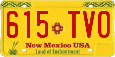 NM license plate 615TVO