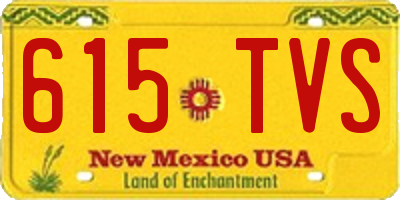 NM license plate 615TVS