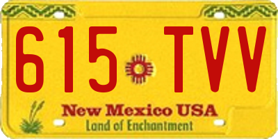 NM license plate 615TVV