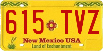 NM license plate 615TVZ
