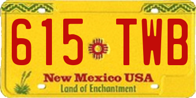 NM license plate 615TWB