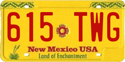 NM license plate 615TWG