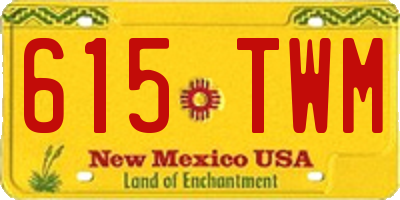 NM license plate 615TWM
