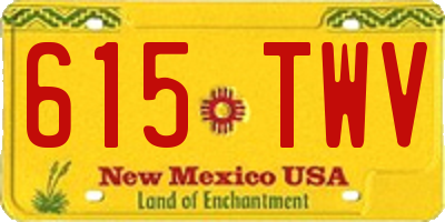 NM license plate 615TWV