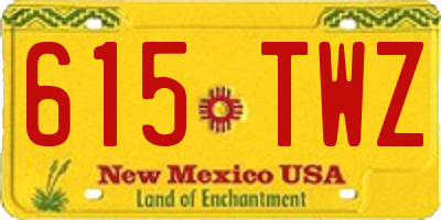NM license plate 615TWZ