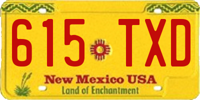NM license plate 615TXD