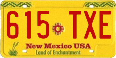 NM license plate 615TXE
