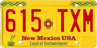 NM license plate 615TXM