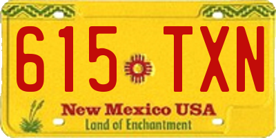NM license plate 615TXN