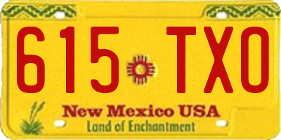 NM license plate 615TXO