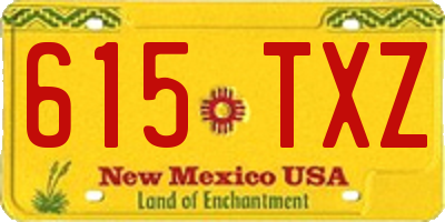 NM license plate 615TXZ