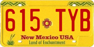 NM license plate 615TYB