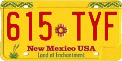NM license plate 615TYF