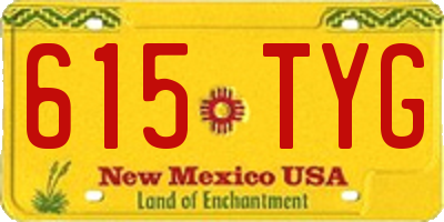 NM license plate 615TYG